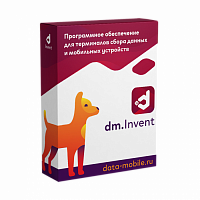 DM.Основные средства: Invent