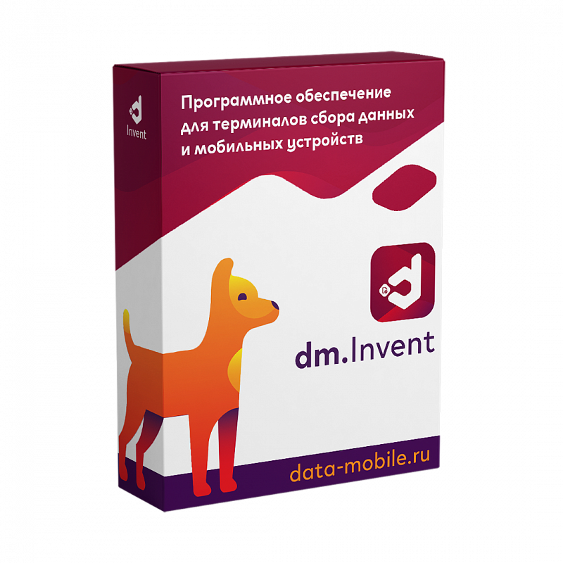 DM.Основные средства: Invent
